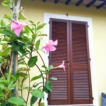 Bed and Breakfast Il Gelsomino Foligno Exterior foto